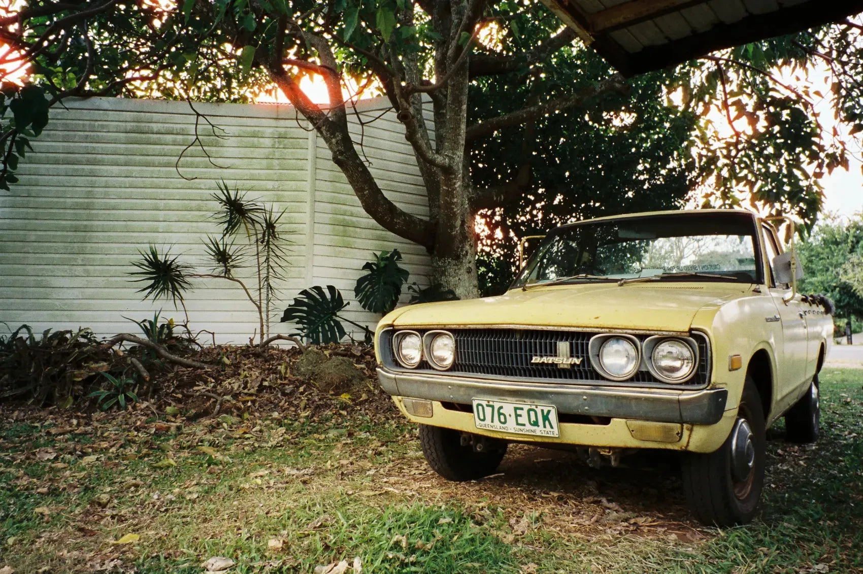 CineStill 400D - 35mm Color Film