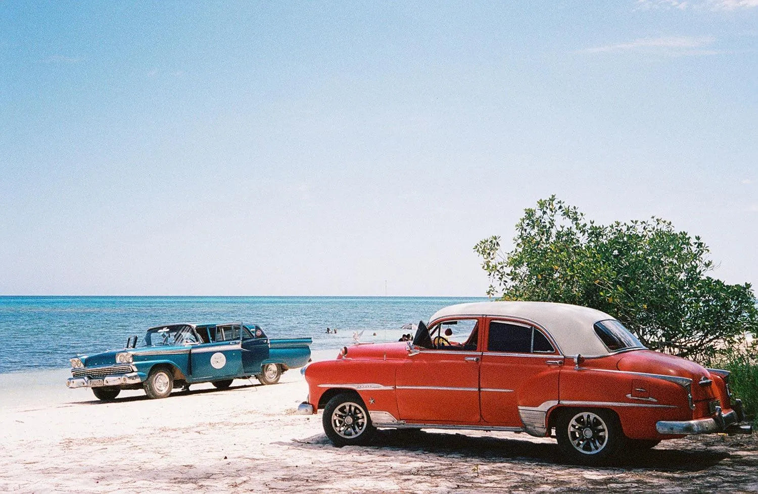 Kodak Portra 400 - 35mm Color Film