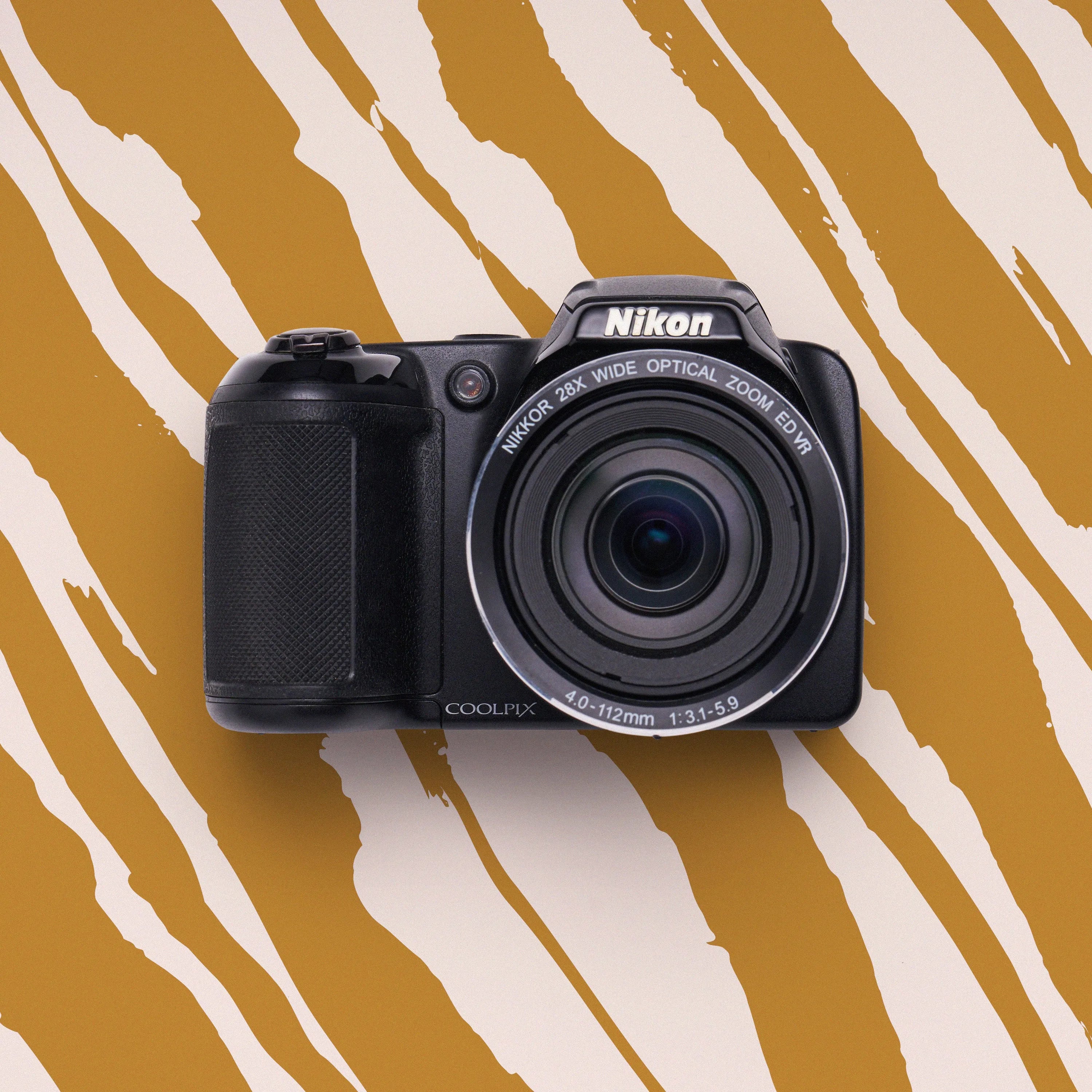 Nikon Coolpix L110 | Retro Digicam Point and Shoot Digital Camera