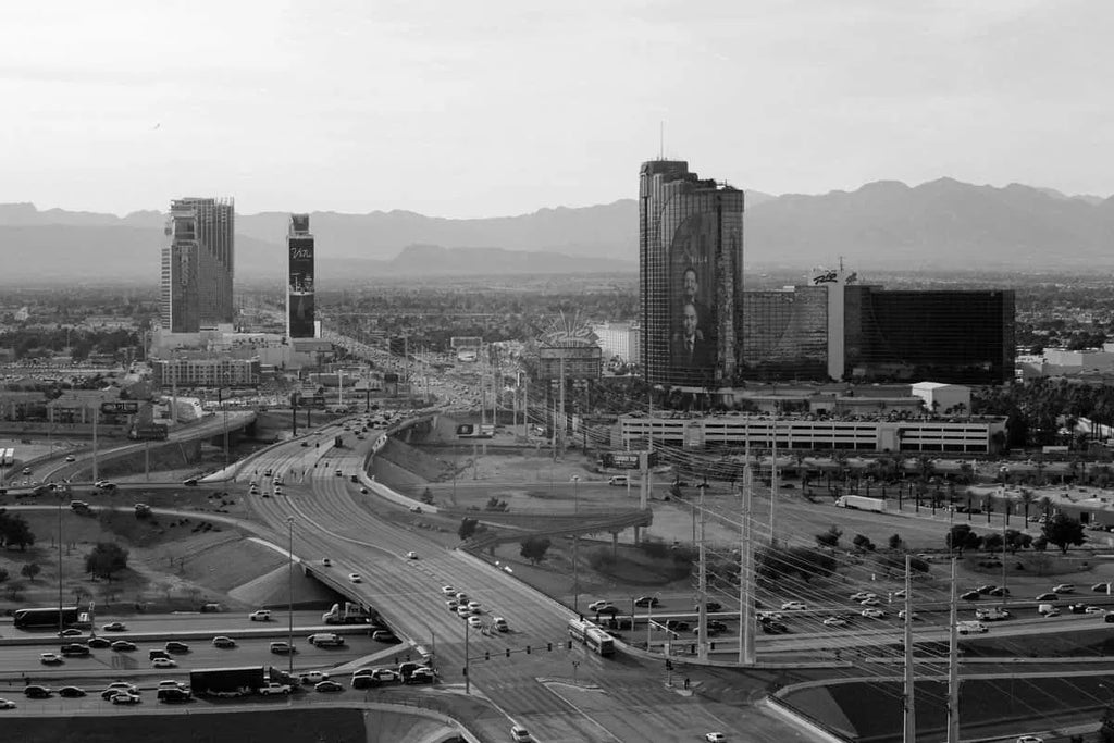 Ilford Delta 400 - 35mm Black and White Film
