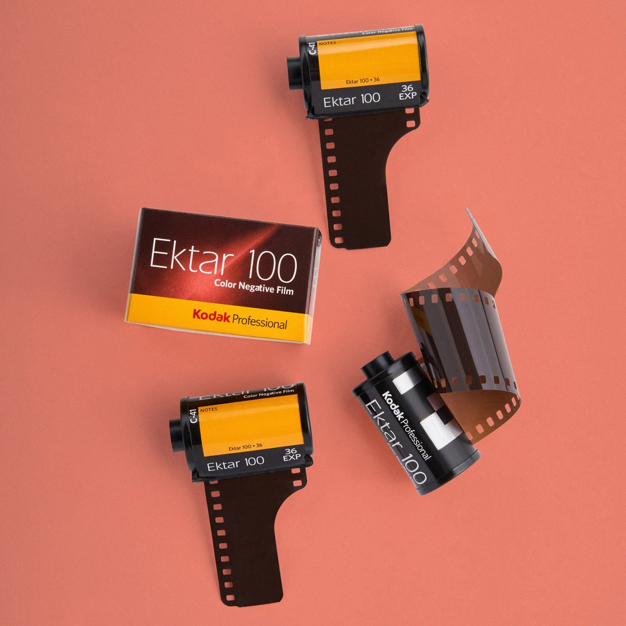 Kodak Ektar 100 - 35mm Color Film
