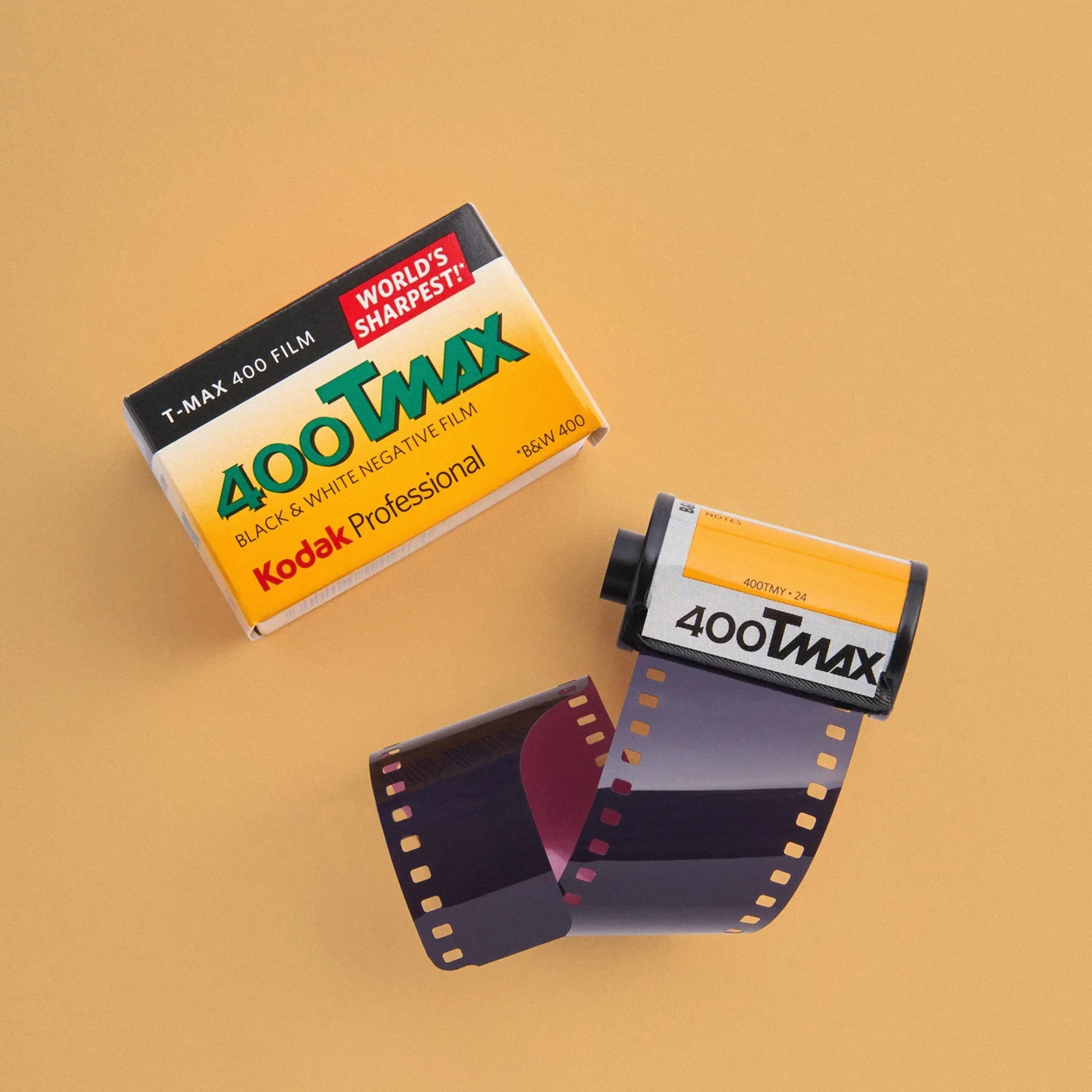 Kodak T-Max 400 - 35mm Black and White Film