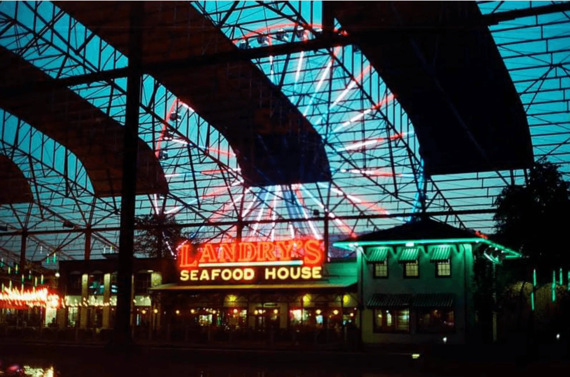 CineStill 800T - 35mm Color Film